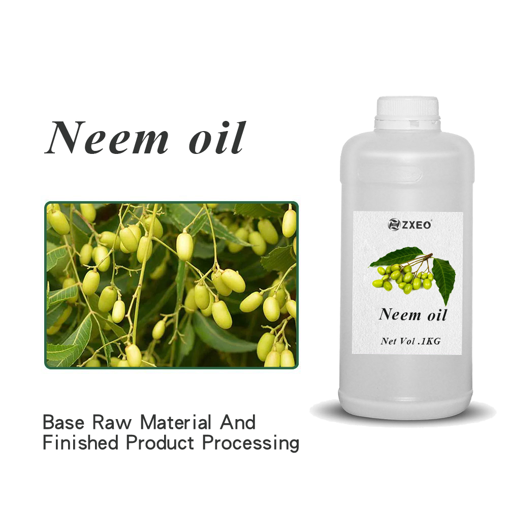 Aceite esencial de neem de alta calidad Aceite de neem prensado en frío con embalaje personalizado para uso cosmético