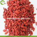 Factory Supply Fruits Bulk Fiyat Goji Berry