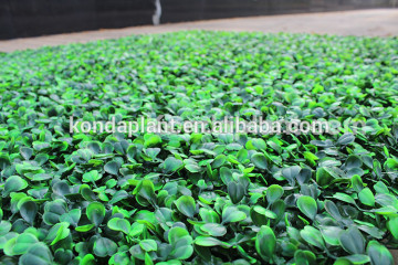 Garden green Artificial boxwood Hedges