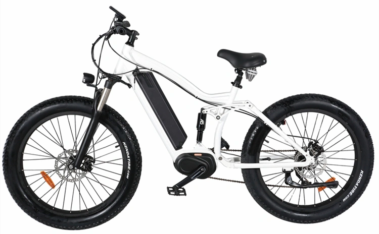 Ce Certified Electric Cycle Electric Mountain Fat Bike