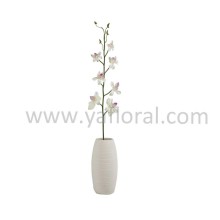 Cheap wholesale white color 31" thailand orchid flower export with competitive price