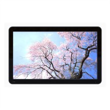 23.6 Inch DLED Backlight High Brightness LCD Panel