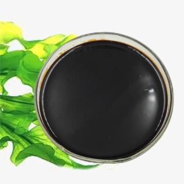 Water-soluble fertilizer containing alginic acid