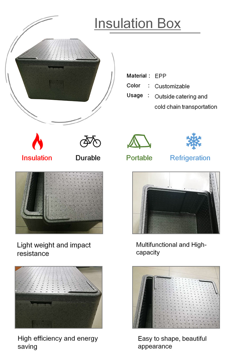 vaccine transport Epp Thermo Cooler Box, medicine cooler box,insulin cooler box