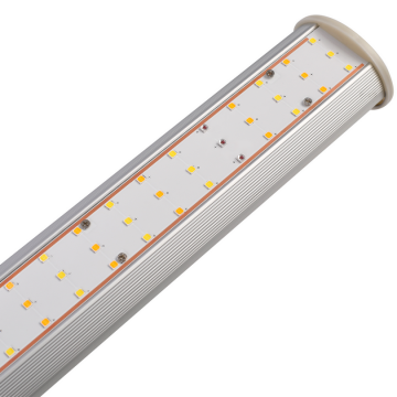 800w LED coltiva la luce per piante