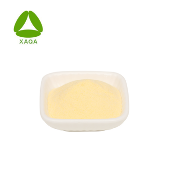 OEM Bio -Fruchtsaft -Mango 99% Pulver