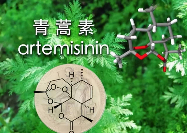 Artemisinin