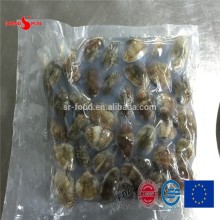 2015 new cooked V-packed baby clam