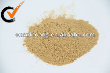 Ginger Powder by chinese mature ginger