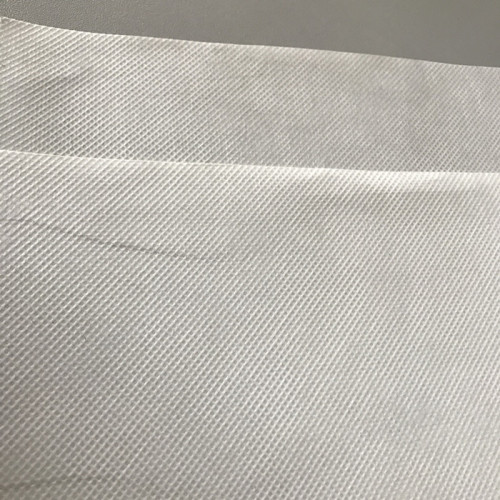 100g Spunbond PET Nonwoven Fabric