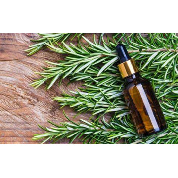 Rosemary + Essential + Oil Pure &amp; Natural