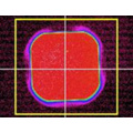 Large Core Diameter Eliminate Speckle Liquid Core Fiber