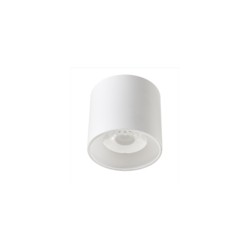 LEDER Surface Mounted Dimmable 30W LED Downlight