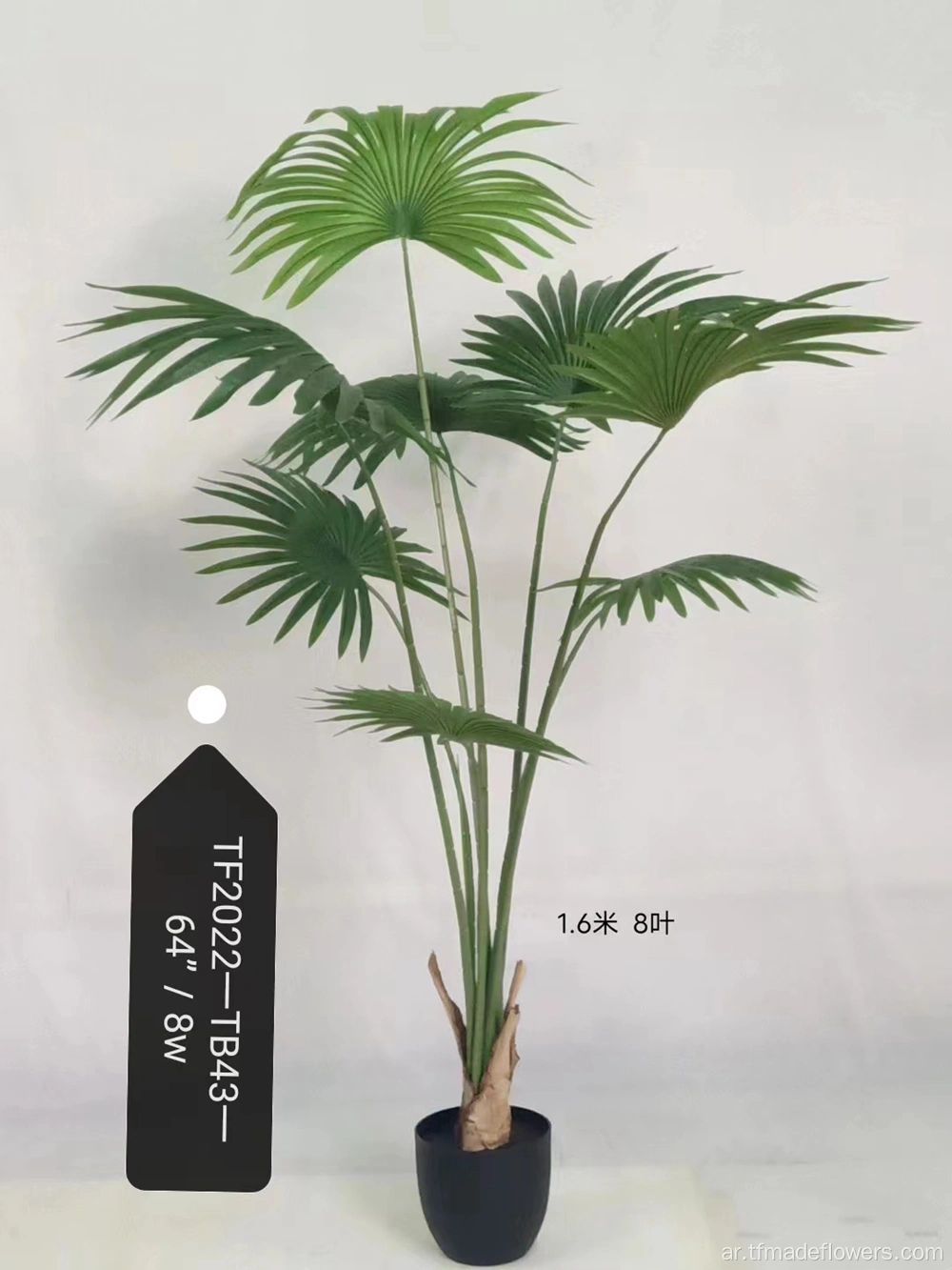 Artificial Champagne Christmas Five-headed Flower