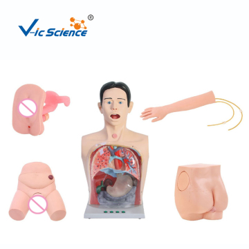 Basic Training Manikin Model