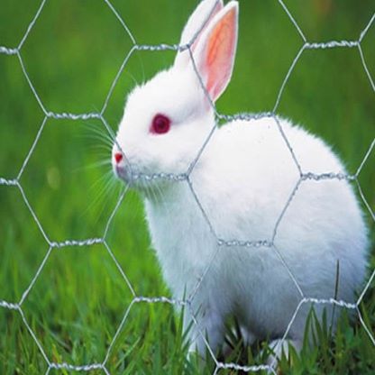 Malla de alambre hexagonal de conejo Rabbit Hexagonal wire mesh
