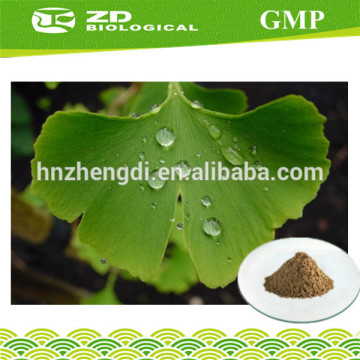 Health Care Product ginkgo biloba leaf extract in herbal extact