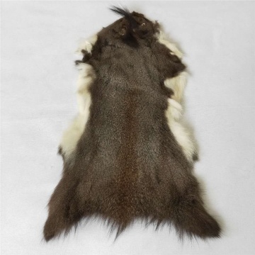 squirrel hides tanned squirrel skin grey squirrel fur pelt