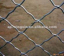 Hot Sales!!! Beautiful Meg nets