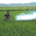 Máquina nebulizadora de mano para el saneamiento