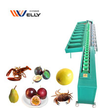 CE Approved High Efficiency Durian and Onion Grading Sorting Machine