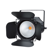 Wholesale 200W COB LED Studio PAR Lights 2in1 (WW/CW) - Stage Par Lighting