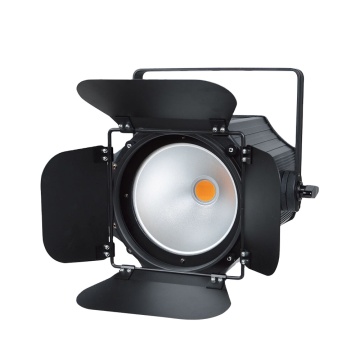 Wholesale 200W COB LED Studio PAR Lights 2in1 (WW/CW) - Stage Par Lighting