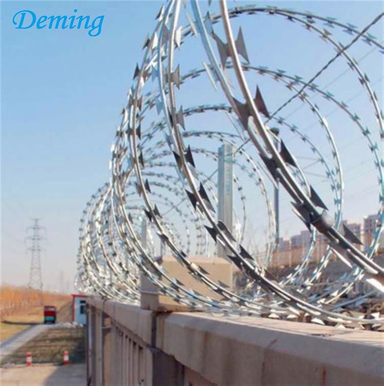 Hot Sale Factory Supply Protection Razor Barbed Wire
