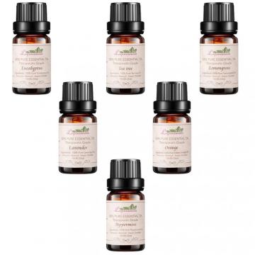 theraputic grade essential oil start up kit spearmint