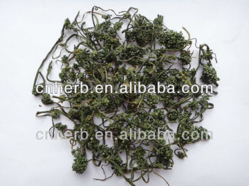 Ginseng Flower/ginseng flower tea