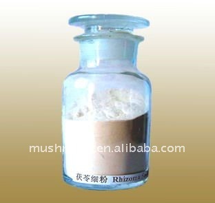 Poria cocos Powder