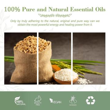 Aceite de salvado de arroz en la venta Líquido cosmético Pure Essential Oil Amarillo Top Service ODM, humectante