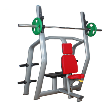 Professional Gym Strength Training Vertical Bench