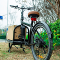 Urban Electric Cargo Bike Two Wheeler Ecargo Bikes