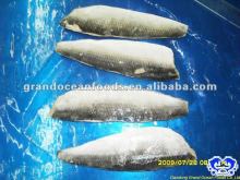 herring fish fillet seafood
