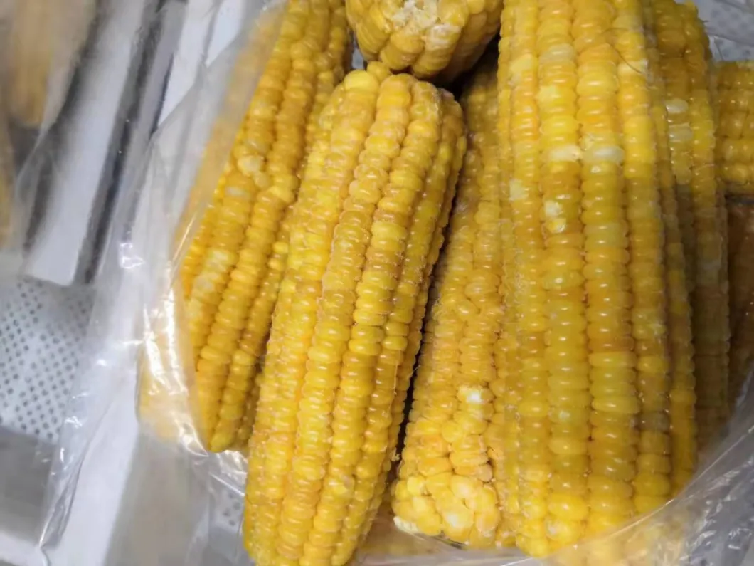 Frozen Sweet Corn on The COB From China