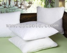 100% Silk Pillows Silk Cushions with Silk Satin Pillow Shams