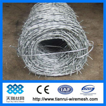 barbed wire / barbed wire fence