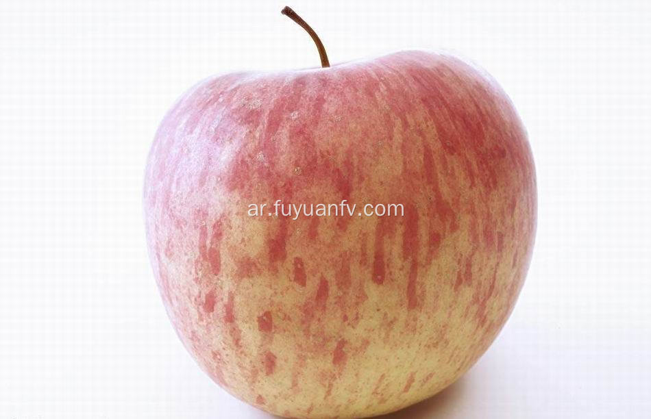 تصدير التفاح فوجي الطازج أعلى جودة (64-198)