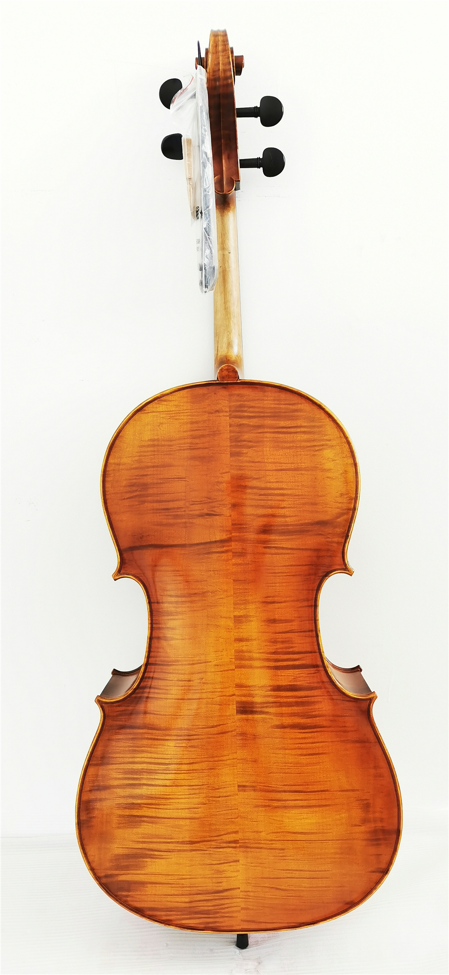 Cello Jm Coa 19 2