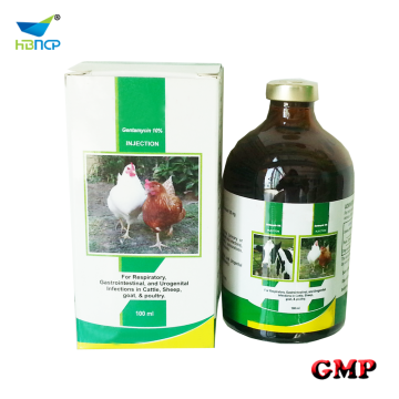 10% Gentamycin sulfate injection