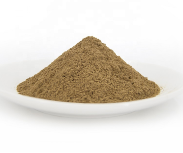 ginkgo biloba leaf extract ginkgo biloba Extract Powder