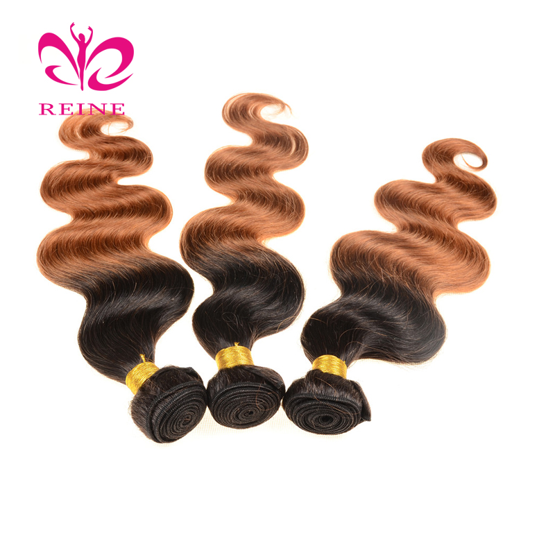 9A Brazilian Virgin Hair Body Wave Bundles REINE Two Tone Ombre Human Hair 1b 30 Color