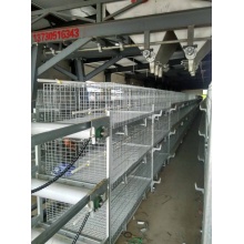 Full Automatic Broiler Cage System mit ISO9001
