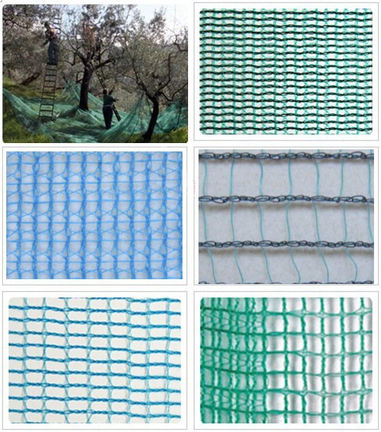 HDPE Olive Net (Harvesting Net)