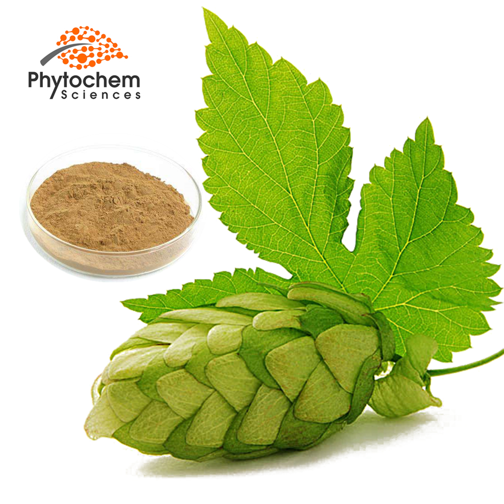 Humulus lupulus lupulin Xanthohumol Flavonoids powder hops flower extract beer hops