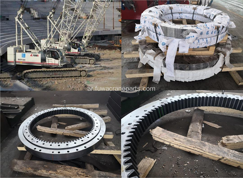 Fuwa Quy120 Crawler Crane Slewing Ring