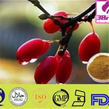 Fructus Corni Extract