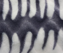 Comfortable Color Warp Knit Polyester Plush Cloths