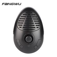 Portable RGB Conference Speaker with Echo Microphone for Gaming and Teaching